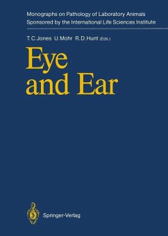 Eye and Ear (eBook, PDF)