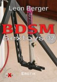 BDSM 32: Sextoys (eBook, ePUB)