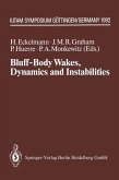 Bluff-Body Wakes, Dynamics and Instabilities (eBook, PDF)