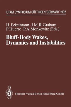 Bluff-Body Wakes, Dynamics and Instabilities (eBook, PDF)