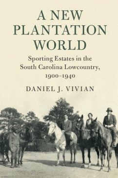 New Plantation World (eBook, PDF) - Vivian, Daniel J.
