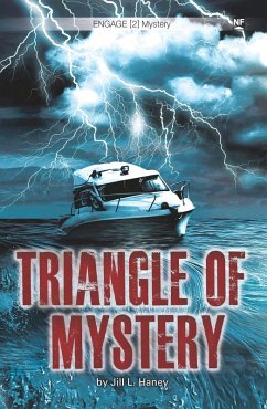 Cover Triangle of Mystery [2] (eBook, PDF)