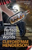 Perfect Little Worlds (eBook, ePUB) Perfect Little Worlds (eBook, ePUB)
