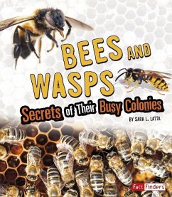 Bees and Wasps: Secrets of Their Busy Colonies - Latta, Sara L.