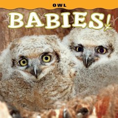 Owl Babies! - Lehmann, Steph