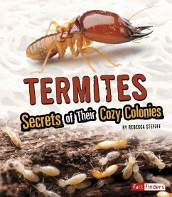Termites: Secrets of Their Cozy Colonies - Stefoff, Rebecca