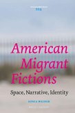American Migrant Fictions: Space, Narrative, Identity