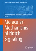 Molecular Mechanisms of Notch Signaling (eBook, PDF)