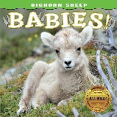 Bighorn Sheep Babies - Lehmann, Steph