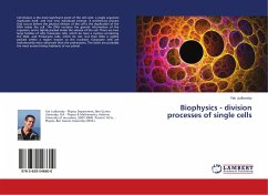 Biophysics - division processes of single cells - Judkovsky, Yair