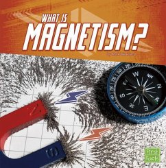 What Is Magnetism? - Weakland, Mark