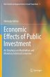 Economic Effects of Public Investment - Bild 1