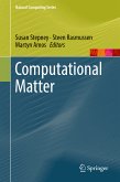 Computational Matter (eBook, PDF)
