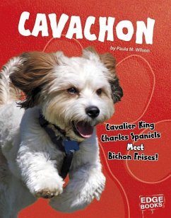 Cavachon: Cavalier King Charles Spaniels Meet Bichon Frises! - Wilson, Paula M.