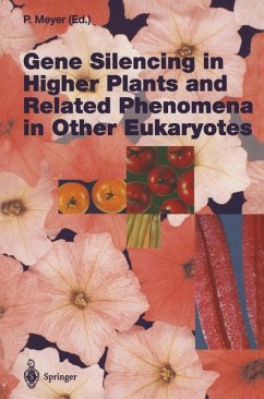 Cover Gene Silencing in Higher Plants and Related Phenomena in Other Eukaryotes (eBook, PDF)