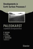 Paleokarst (eBook, PDF)