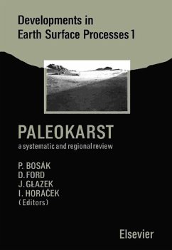 Cover Paleokarst (eBook, PDF)