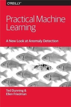Cover Practical Machine Learning: A New Look at Anomaly Detection (eBook, PDF)