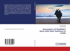 Association of Hsp90ab1 Gene with Heat Tolerance in Cattle