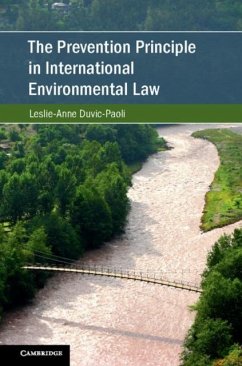Prevention Principle in International Environmental Law (eBook, PDF) - Duvic-Paoli, Leslie-Anne