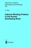 Calcium-Binding Proteins in the Human Developing Brain (eBook, PDF)
