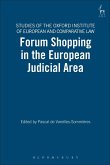 Forum Shopping in the European Judicial Area (eBook, PDF)