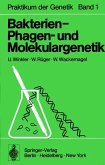 Bakterien-, Phagen- und Molekulargenetik (eBook, PDF)