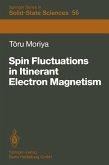 Spin Fluctuations in Itinerant Electron Magnetism (eBook, PDF)