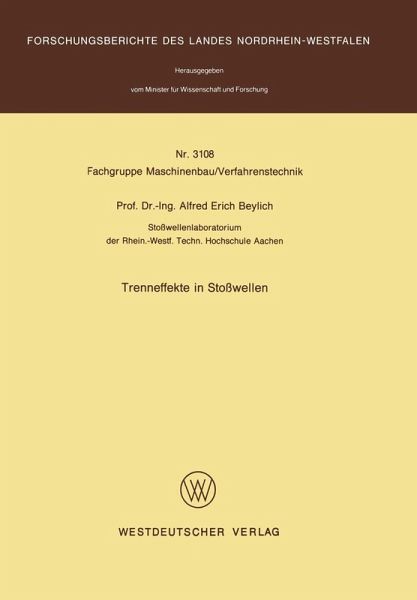 Trenneffekte in Stoßwellen (eBook, PDF)