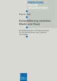 Konsolidierung zwischen Markt und Staat (eBook, PDF)