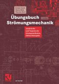 Übungsbuch Strömungsmechanik (eBook, PDF)