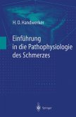 Einführung in die Pathophysiologie des Schmerzes (eBook, PDF)