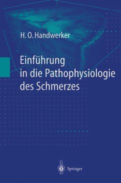 Einführung in die Pathophysiologie des Schmerzes (eBook, PDF) - Handwerker, H. O.