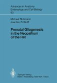 Prenatal Gliogenesis in the Neopallium of the Rat (eBook, PDF)