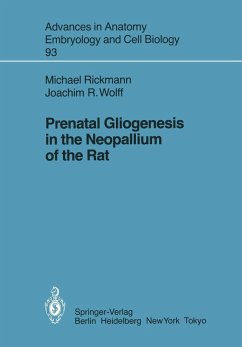 Prenatal Gliogenesis in the Neopallium of the Rat (eBook, PDF) - Rickmann, Michael; Wolff, Joachim R.