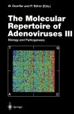 The Molecular Repertoire of Adenoviruses III (eBook, PDF)