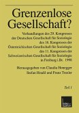 Grenzenlose Gesellschaft? (eBook, PDF)
