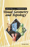 Visual Geometry and Topology (eBook, PDF)