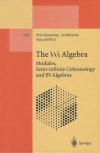 The W3 Algebra (eBook, PDF) - Bouwknegt, Peter; Mccarthy, Jim; Pilch, Krzysztof