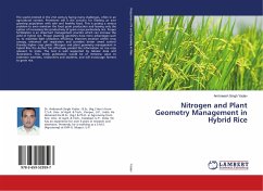 Nitrogen and Plant Geometry Management in Hybrid Rice