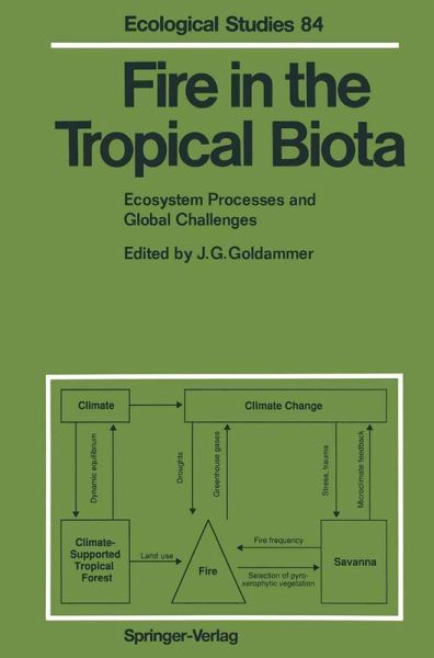 Fire in the Tropical Biota (eBook, PDF)