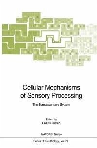 Cellular Mechanisms of Sensory Processing (eBook, PDF)