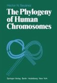 The Phylogeny of Human Chromosomes (eBook, PDF)