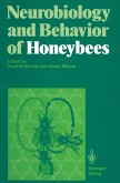 Neurobiology and Behavior of Honeybees (eBook, PDF)