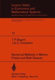 Numerical Methods in Markov Chains and Bulk Queues (eBook, PDF)