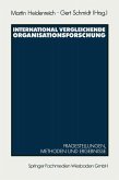 International vergleichende Organisationsforschung (eBook, PDF)