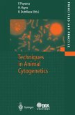 Techniques in Animal Cytogenetics (eBook, PDF)