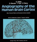 Angiography of the Human Brain Cortex (eBook, PDF)