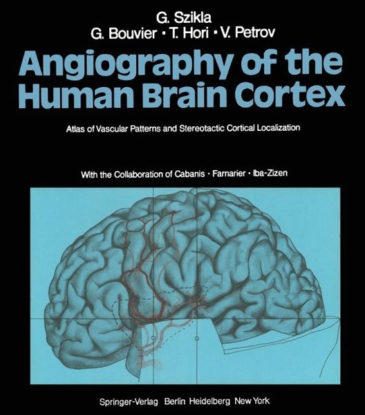 Angiography of the Human Brain Cortex (eBook, PDF)