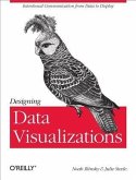 Designing Data Visualizations (eBook, PDF)